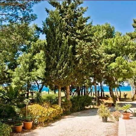 Appartamento I Tramonti Di Cofano Castelluzzo Exterior photo