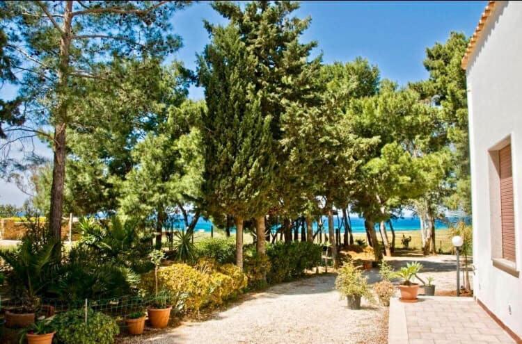 Appartamento I Tramonti Di Cofano Castelluzzo Exterior photo