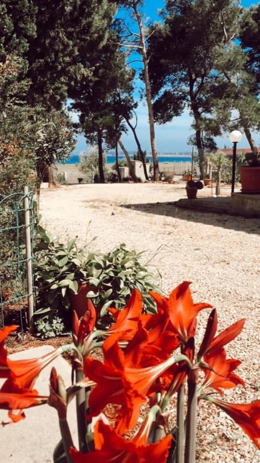 Appartamento I Tramonti Di Cofano Castelluzzo Exterior photo