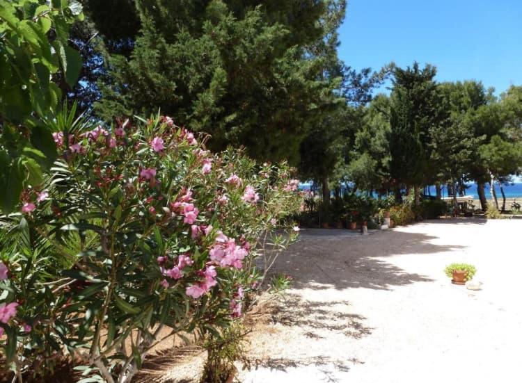 Appartamento I Tramonti Di Cofano Castelluzzo Exterior photo