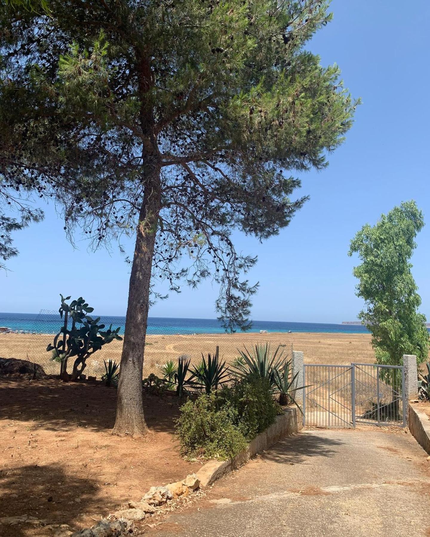 Appartamento I Tramonti Di Cofano Castelluzzo Exterior photo