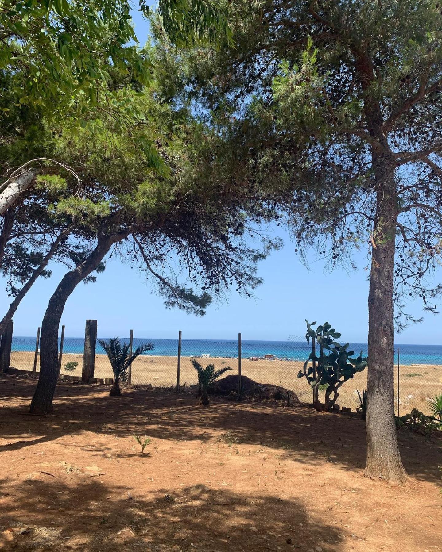 Appartamento I Tramonti Di Cofano Castelluzzo Exterior photo