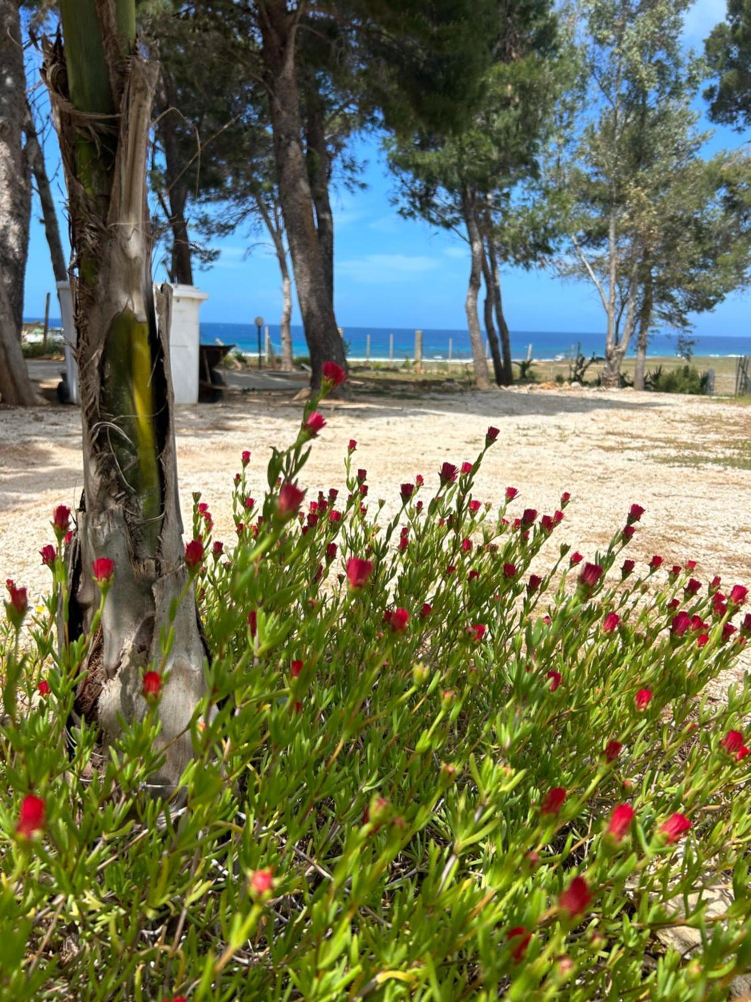 Appartamento I Tramonti Di Cofano Castelluzzo Exterior photo